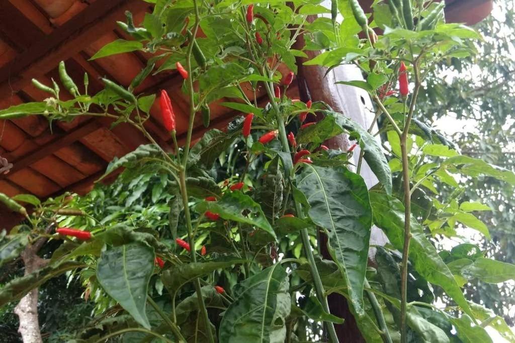 Condominio Shambala Piri Pirenópolis Exteriör bild